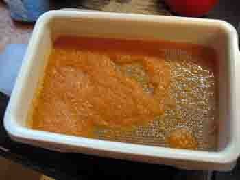 Jazzpro_carot_f_orange 